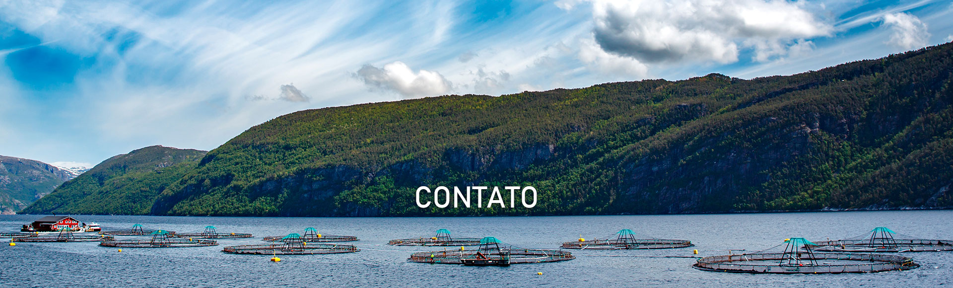 Contato