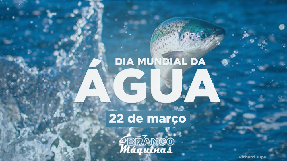 Dia Mundial da água