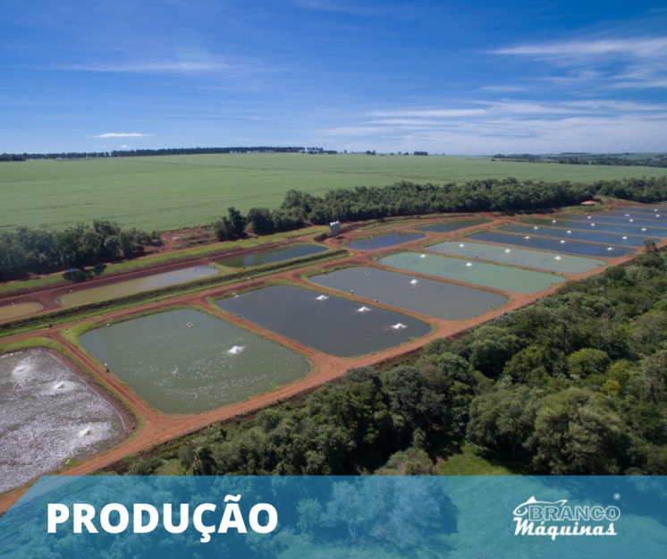 O Brasil está entre os 15 maiores produtores do mundo