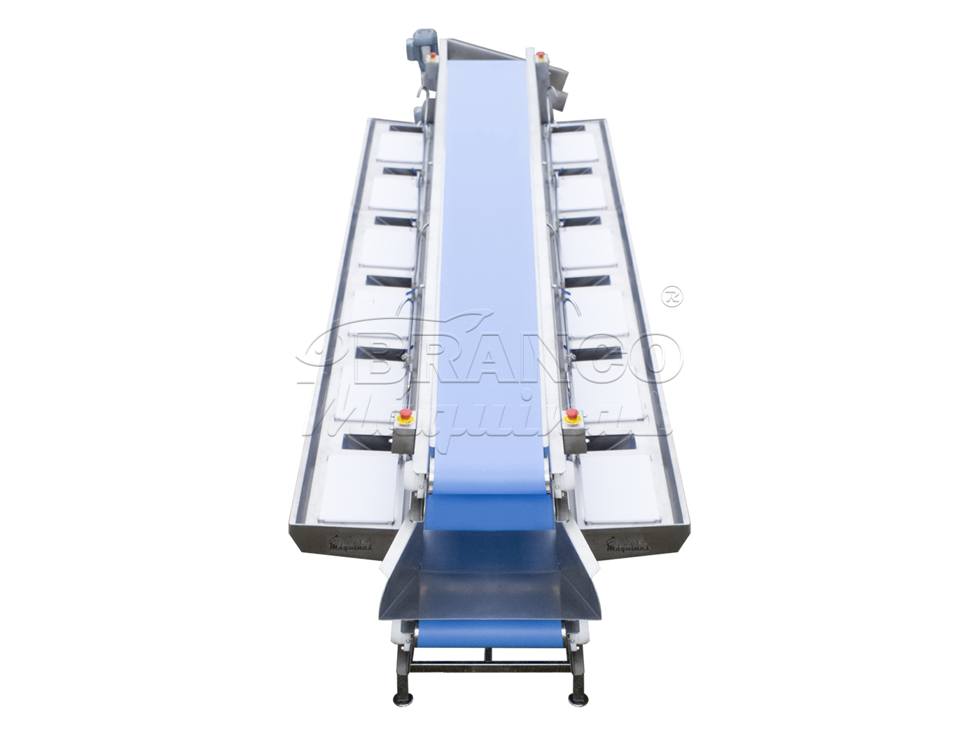 Mesa Com Esteiras Para Filetagem / Evisceração Refilé EXT.12.OP