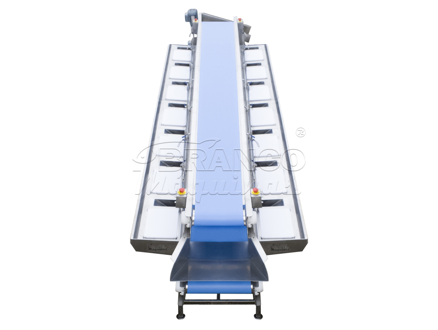 Mesa Com Esteiras Para Filetagem / Evisceração Refilé EXT.14.OP