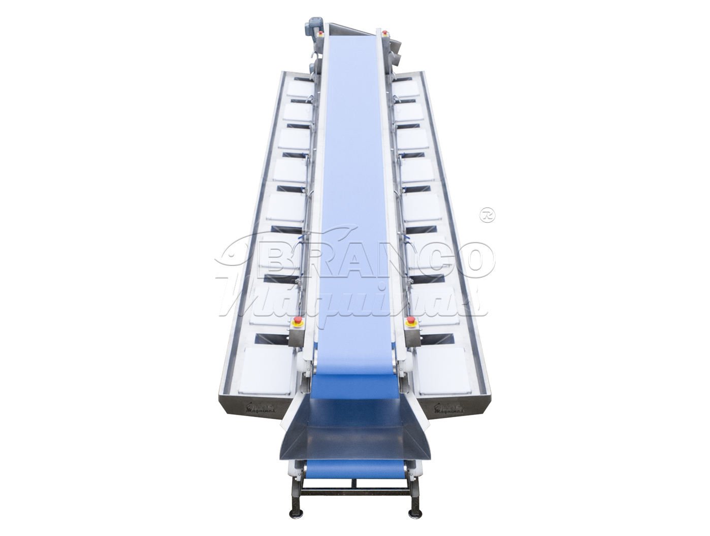 Mesa Com Esteiras Para Filetagem / Evisceração Refilé EXT.16.OP