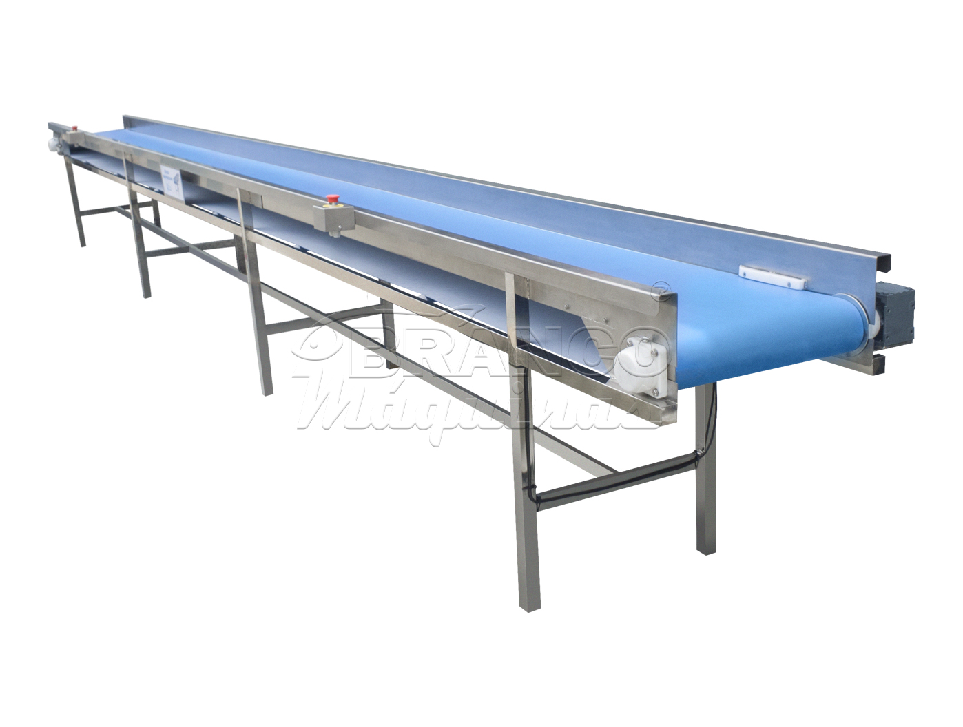 Modular Conveyor Polypropylene Smooth / Taliscated Fish Conveyor
